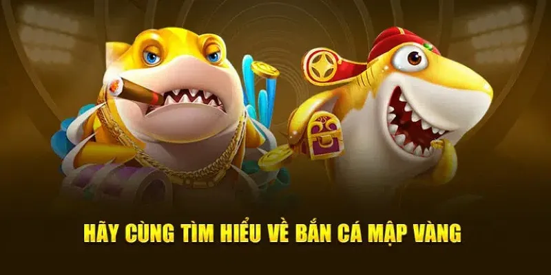 Chi tiết thông tin về bắn cá mập vàng mà người chơi nên biết