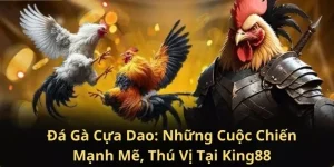 dai-dien-da-ga-cua-dao