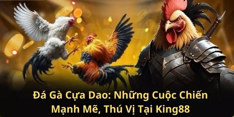 dai-dien-da-ga-cua-dao